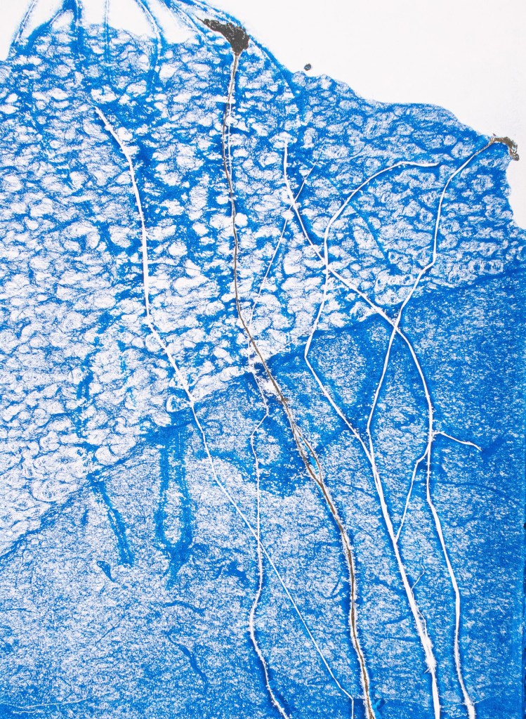 Florence Régnier, Herbe flottante 1 série 1, Technique mixte, Encre et feuille dorée, 2025
