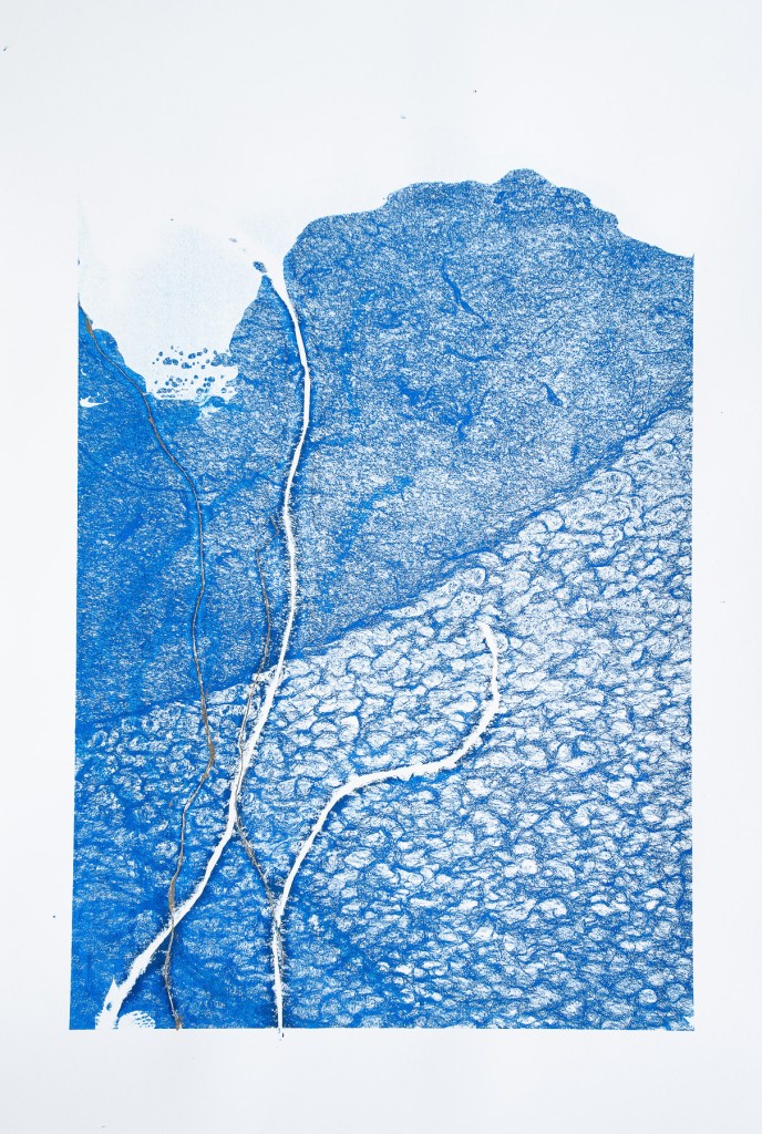 Florence Régnier, Herbe flottante 1 série 2, Technique mixte, Encre et feuille dorée, 2025