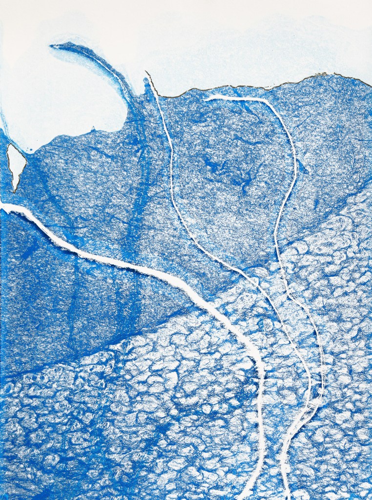 Florence Régnier, Herbe flottante 1 série 3, Technique mixte Encre et feuille dorée, 2025