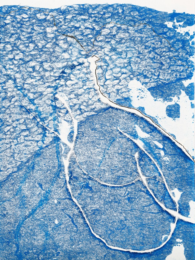 Florence Régnier, Herbe flottante 2 série 3, Technique mixte, Encre et feuille dorée, 2025