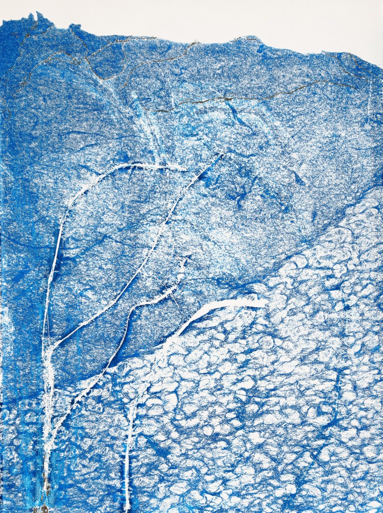 Florence Régnier, Herbe flottante 3 série 3, Technique mixte Encre et feuille dorée, 2025