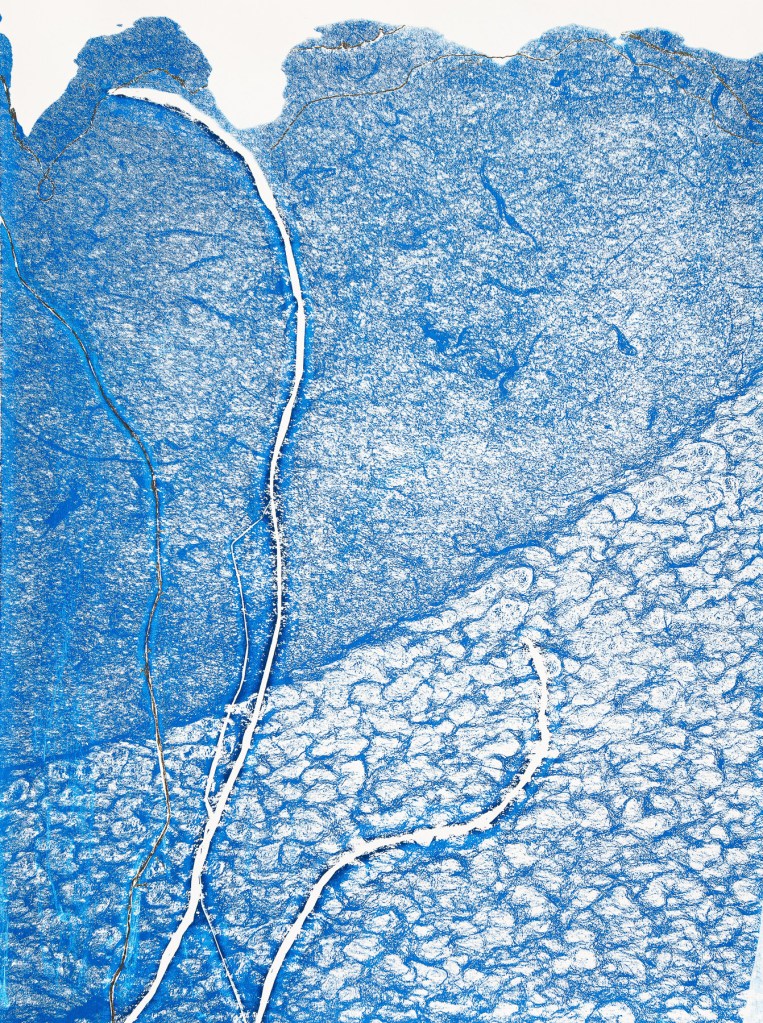 Florence Régnier, Herbe flottante 4 série 3, Technique mixte Encre et feuille dorée, 2025