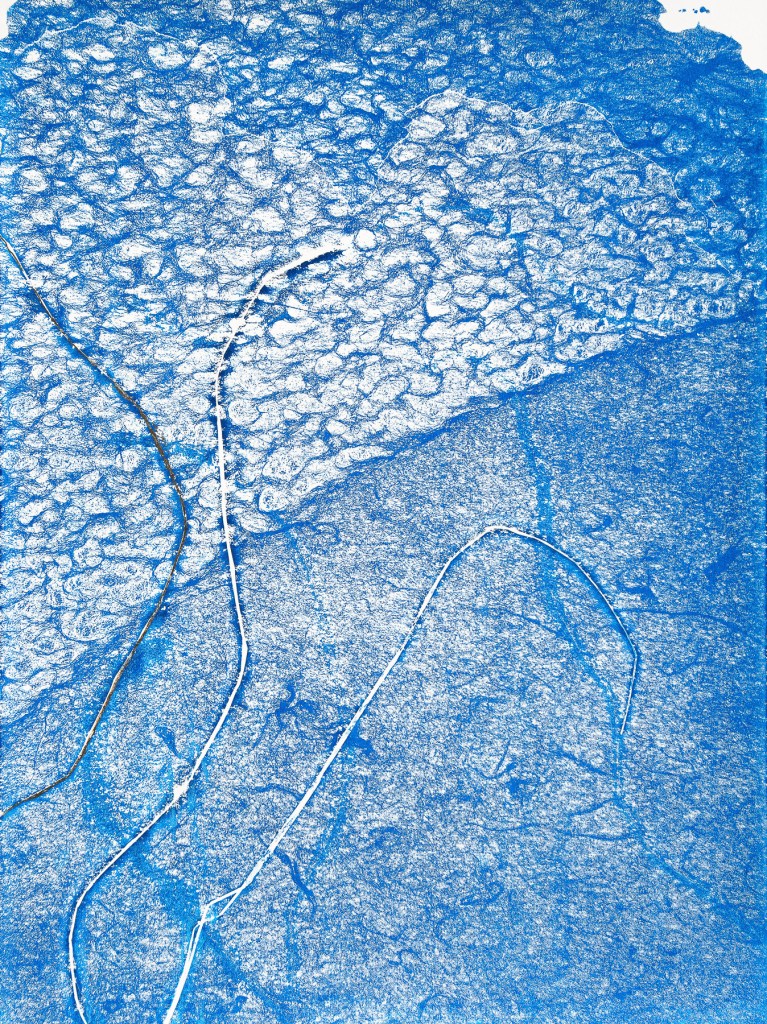Florence Régnier, Herbe flottante 6 série 3, Technique mixte, Encre et feuille dorée, 2025
