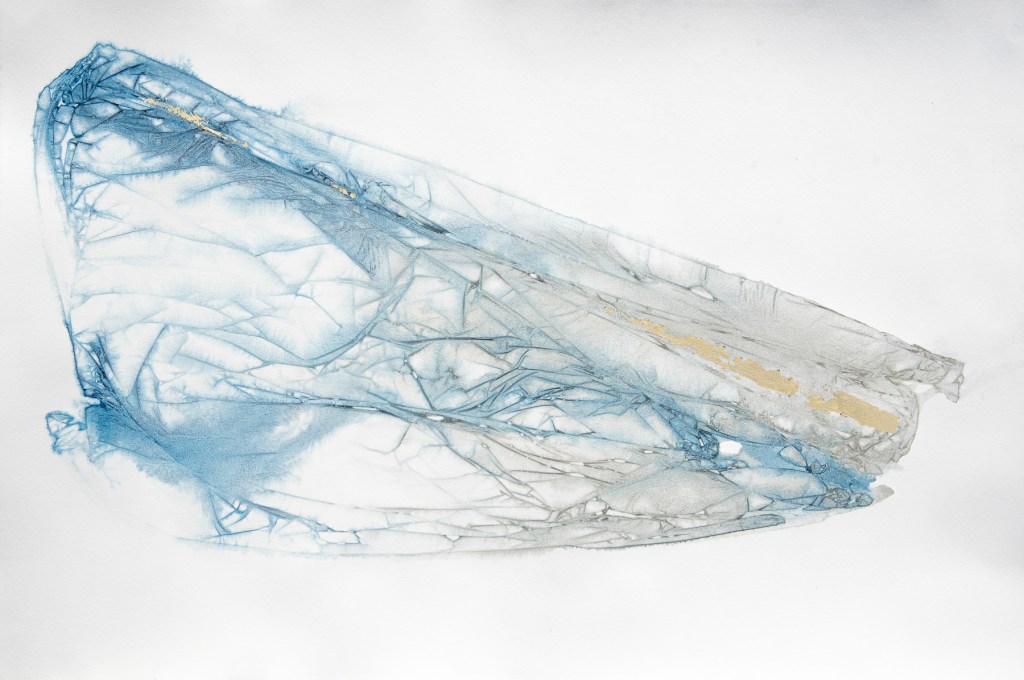 Florence Régnier, Les grands elfiques, 2sur4, Aquarelle et feuille d’or, 2026