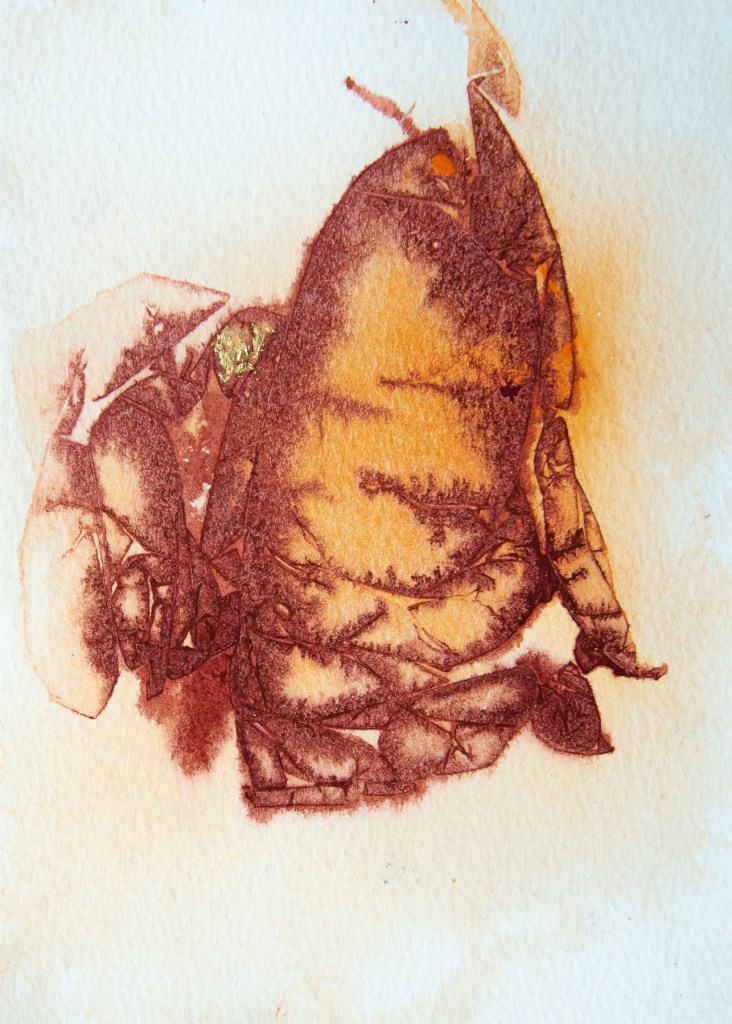 Florence Régnier, Petites activités solaires 5sur7, Aquarelle et feuille d’or, 2026