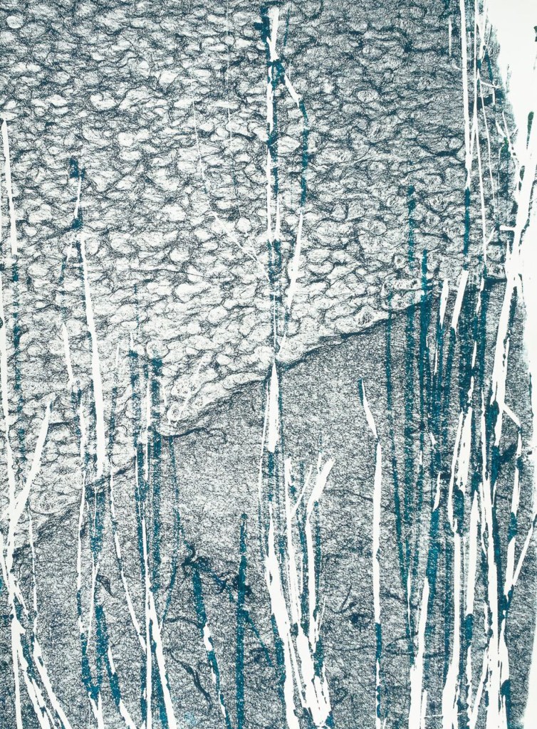 Florence Régnier, Roseaux 3, Sérigraphie, 76 x 56 cm, 2024