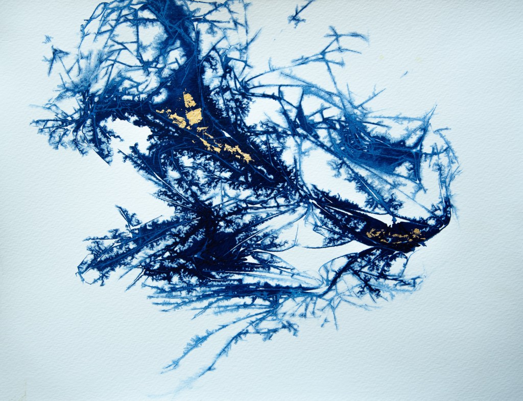 Florence Régnier, Scarabée 4sur5, série I, Encre et feuille d’or, 2026