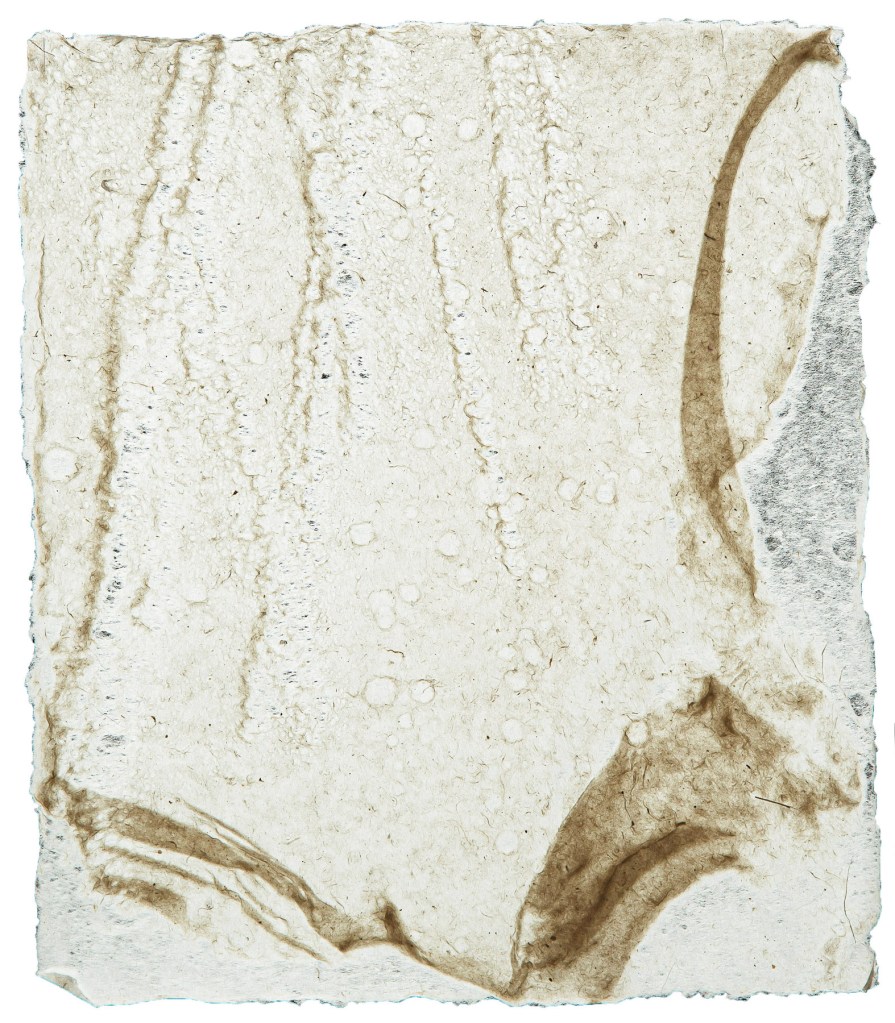 Florence Régnier, Sirène, feuille de papier en pulpe de kozo réalisée par l’artiste, 2023